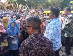 Tak Peka, Pj Bupati Luwu Panggil Seluruh Honorer untuk Imbauan Netralitas, Ada yang Tempuh 2 jam Perjalanan