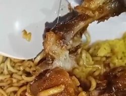 Ortu Murid Histeris Temukan Belatung Hidup saat Sarapan, Warung Dapur Belopa Diduga Sajikan Nasi Kuning Tak Layak Konsumsi